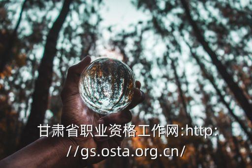  甘肃省职业资格工作网:http://gs.osta.org.cn/