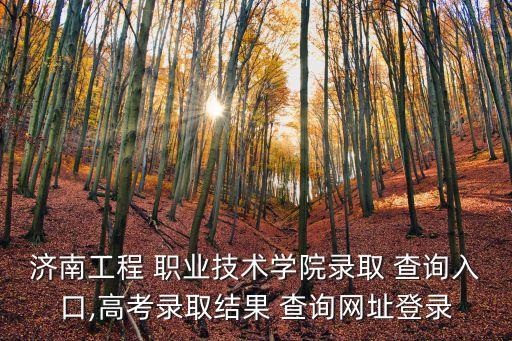 济南工程 职业技术学院录取 查询入口,高考录取结果 查询网址登录