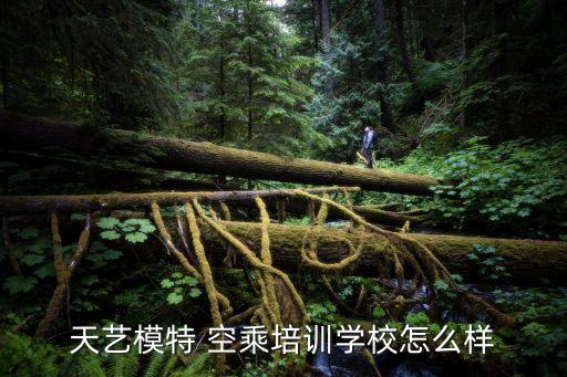 临沂职业学院空乘专业