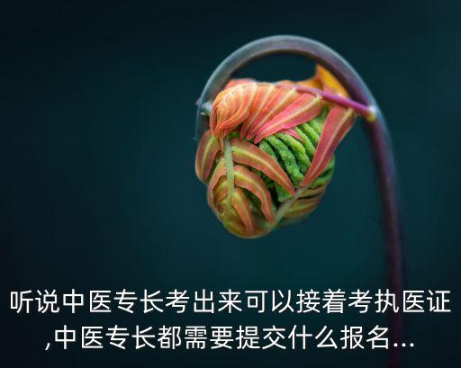 听说中医专长考出来可以接着考执医证,中医专长都需要提交什么报名...