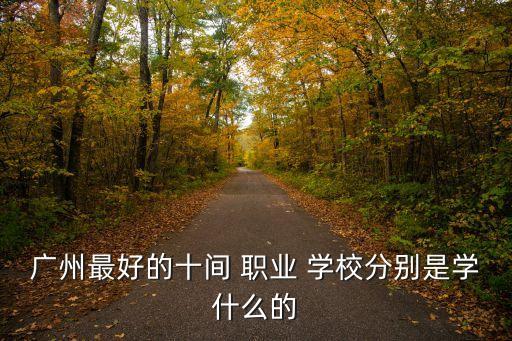广州市it职业学校哪个好