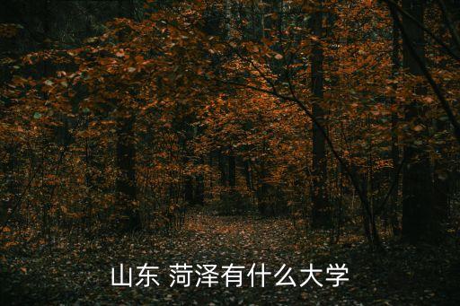 菏泽职业学院详细地址