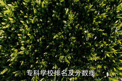 专科学校排名及分数线