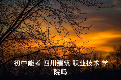  初中能考 四川建筑 职业技术 学院吗