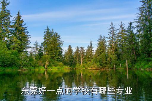 东莞东城职业学院,东莞城市职业学院