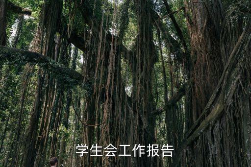 学生会工作报告