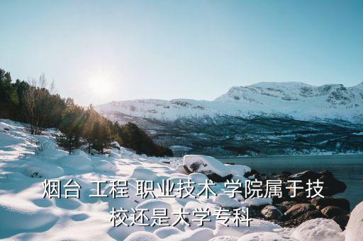  烟台 工程 职业技术 学院属于技校还是大学专科