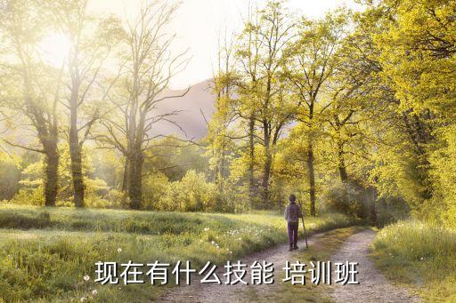 现在有什么技能 培训班