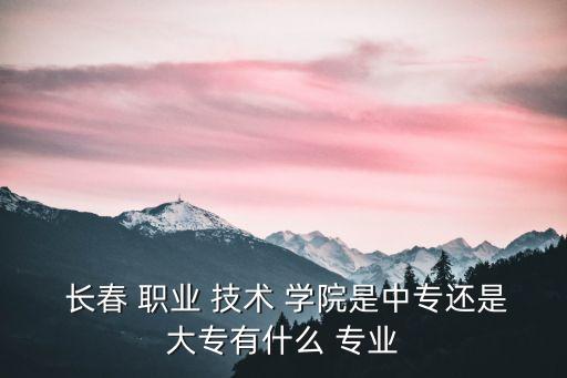  长春 职业 技术 学院是中专还是大专有什么 专业