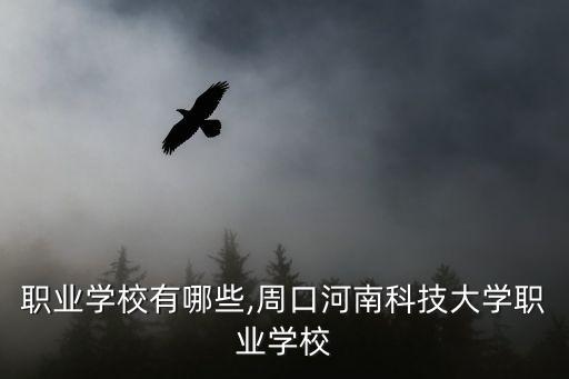 周口职业学校有哪些,周口河南科技大学职业学校