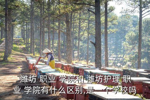 潍坊职业学院专业介绍