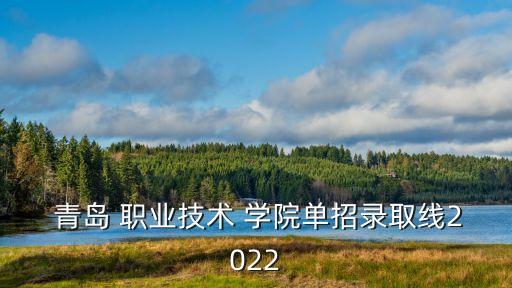  青岛 职业技术 学院单招录取线2022