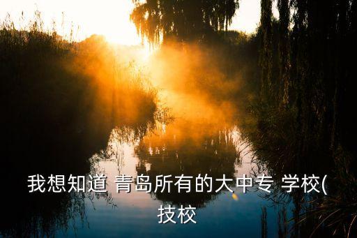 我想知道 青岛所有的大中专 学校(技校