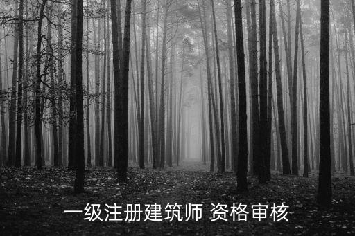 一级注册建筑师 资格审核