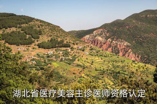  湖北省医疗美容主诊医师资格认定