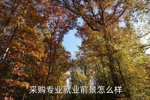  采购专业就业前景怎么样