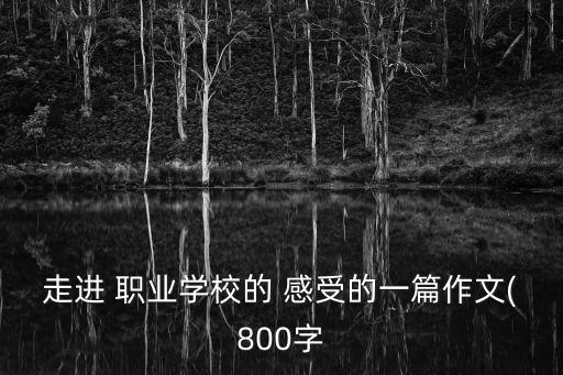 走进 职业学校的 感受的一篇作文(800字