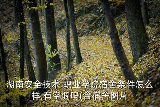 湖南安全技术 职业学院宿舍条件怎么样,有空调吗(含宿舍图片