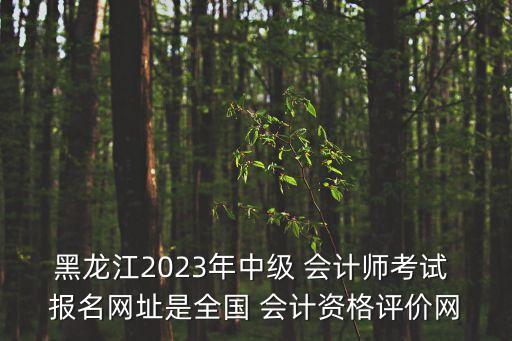 会计职业职业证网上报名系统,全国职业会计网上报名