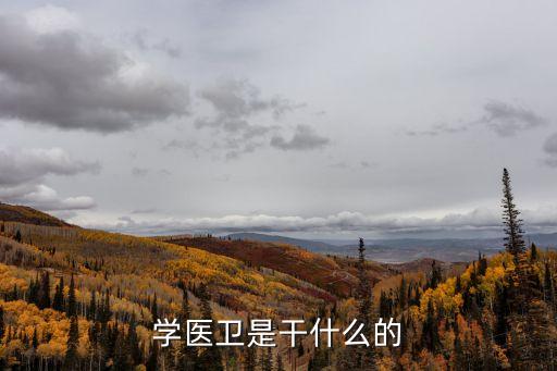 学医卫是干什么的