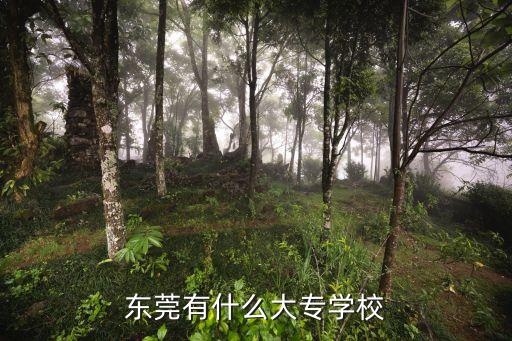 东莞有什么大专学校