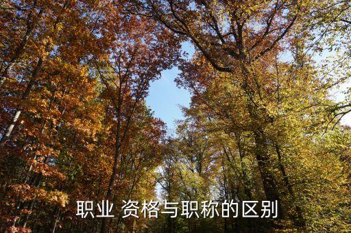  职业 资格与职称的区别