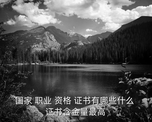 国家 职业 资格 证书有哪些什么 证书含金量最高