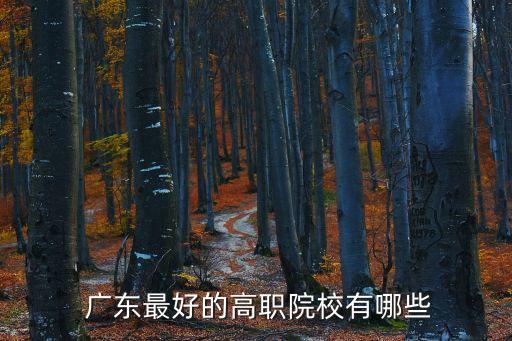 广东最好的高职院校有哪些