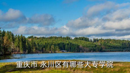 重庆市 永川区有哪些大专学院