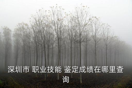 深圳市 职业技能 鉴定成绩在哪里查询