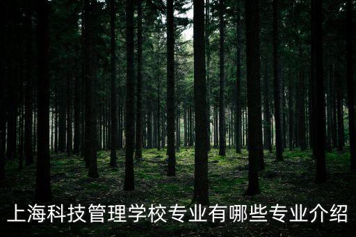 上海科技管理学校专业有哪些专业介绍