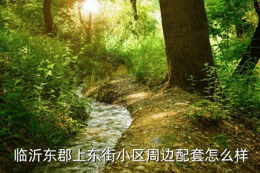  临沂东郡上东街小区周边配套怎么样