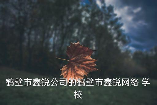 鹤壁市鑫锐公司的鹤壁市鑫锐网络 学校