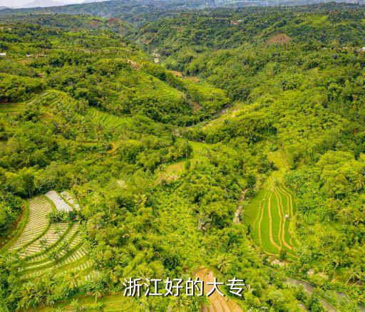 浙江交通职业技术学院学费,干杉交通职业技术学校