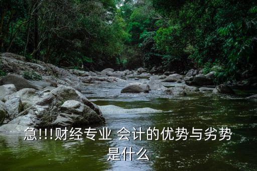 急!!!财经专业 会计的优势与劣势是什么