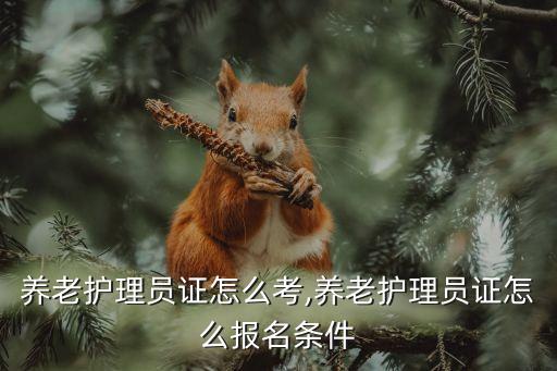 养老护理员证怎么考,养老护理员证怎么报名条件