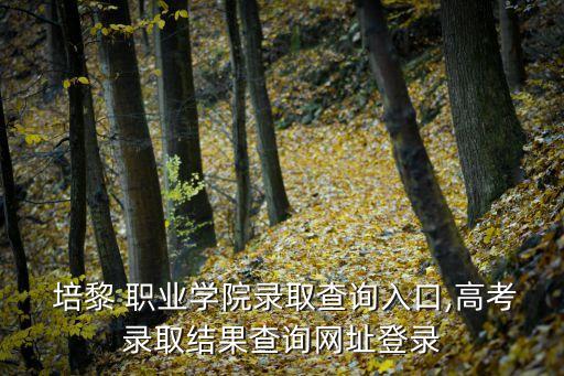  培黎 职业学院录取查询入口,高考录取结果查询网址登录