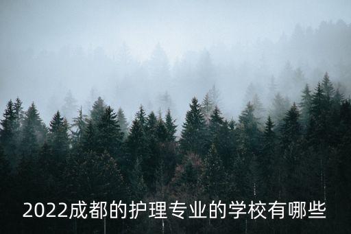 四川省中医学院附属针灸职业学校,成都中医附属针灸学院怎么样
