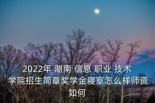 2022年 湖南 信息 职业 技术 学院招生简章奖学金寝室怎么样师资如何
