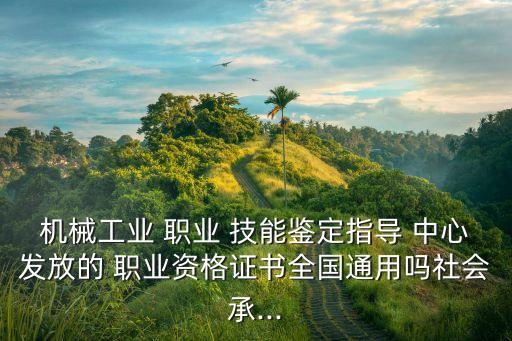 机械工业 职业 技能鉴定指导 中心发放的 职业资格证书全国通用吗社会承...