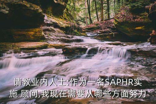 请教业内人士:作为一名SAPHR实施 顾问,我现在需要从哪些方面努力