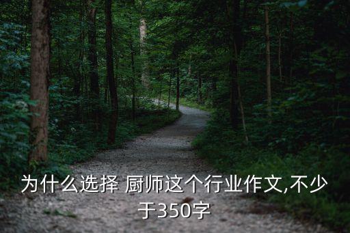 为什么选择 厨师这个行业作文,不少于350字