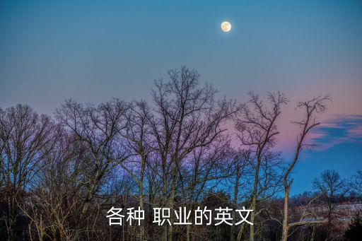全国职业名称英语,英语职业名称及工作地点