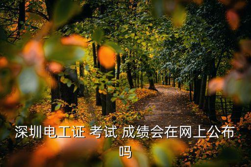 深圳电工证 考试 成绩会在网上公布吗