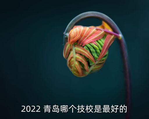 2022 青岛哪个技校是最好的