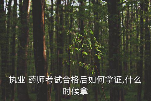 内蒙古职业药师领证,2020云南职业药师领证时间
