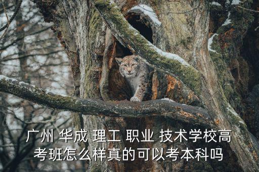 广州 华成 理工 职业 技术学校高考班怎么样真的可以考本科吗