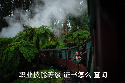  职业技能等级 证书怎么 查询