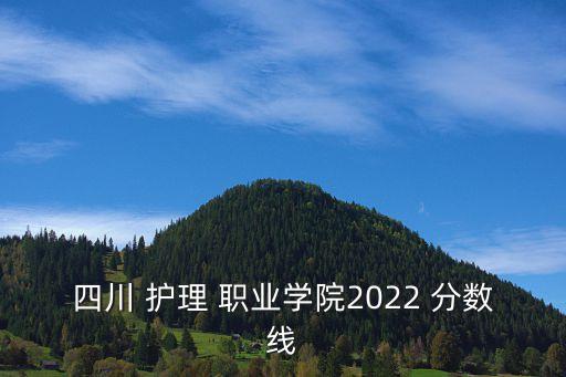 成都护理职业学院录取分数线