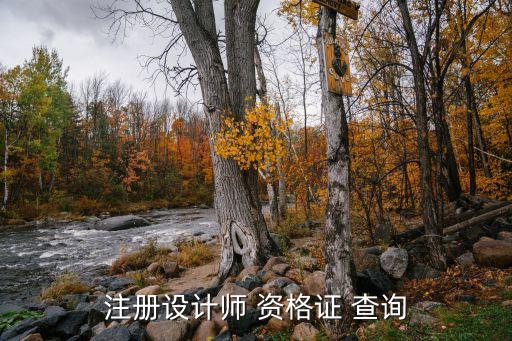 注册设计师 资格证 查询
